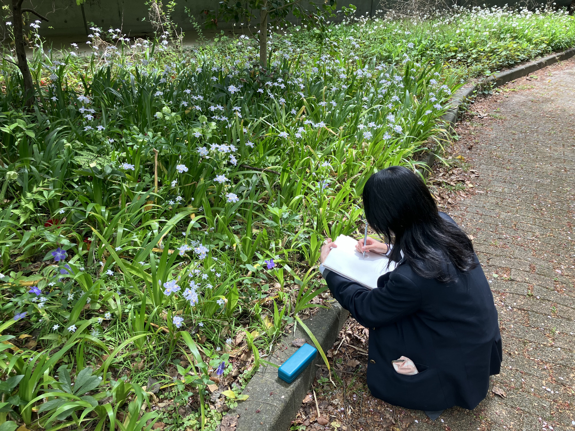 Image - 2026-04-13T165739.985